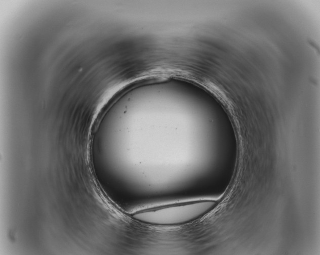 X0000094931296200711291326
