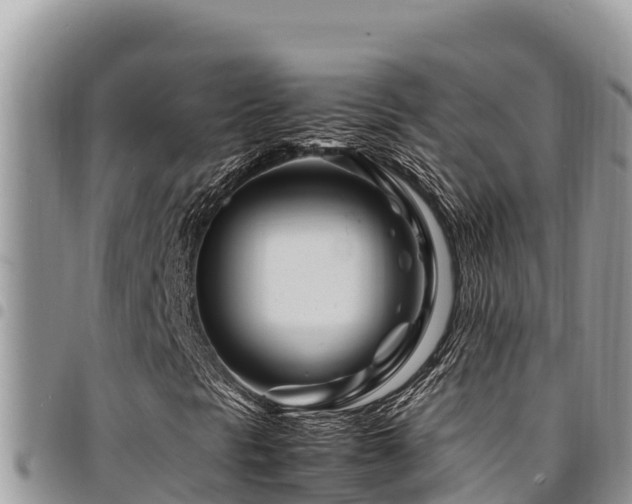 X0000094931297200711291326