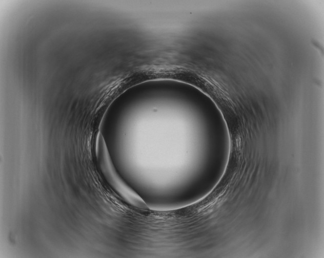 X0000094931300200711291326