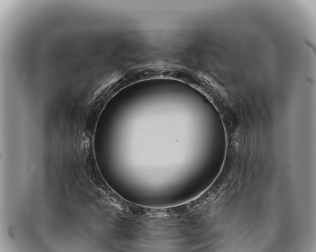 X0000094931302200711291326