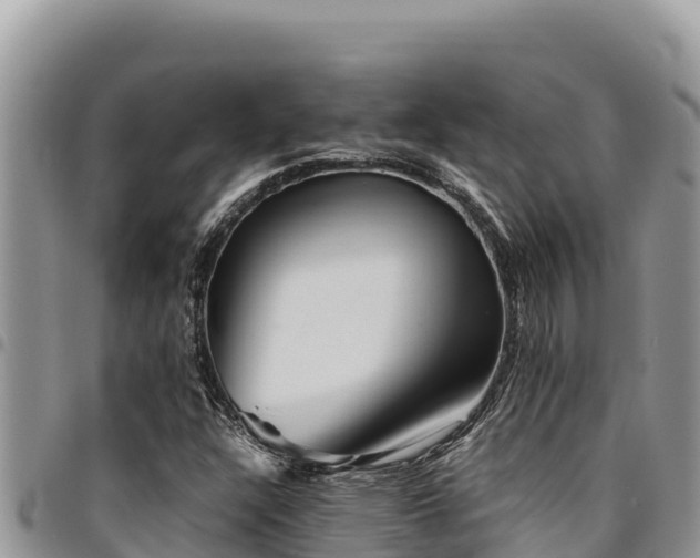 X0000094931304200711291326