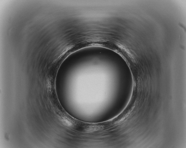 X0000094931305200711291326