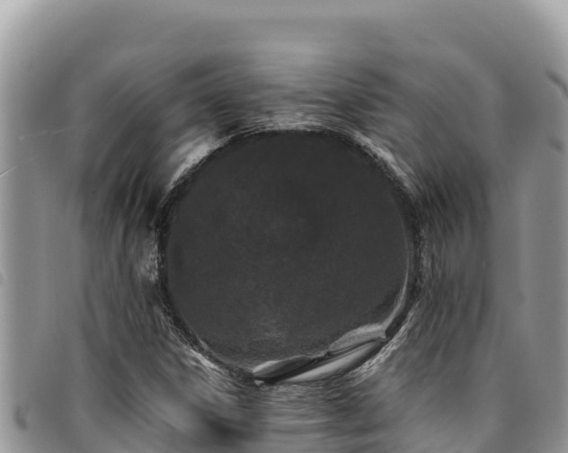 X0000094931306200711291326