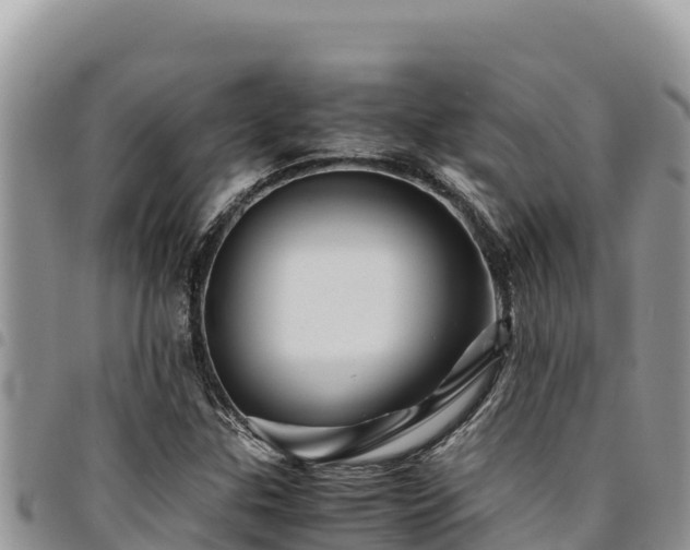 X0000094931307200711291326