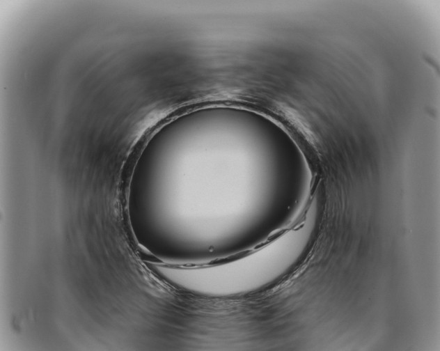 X0000094931308200711291326