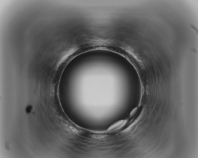 X0000094931309200711291326