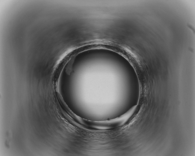 X0000094931310200711291326