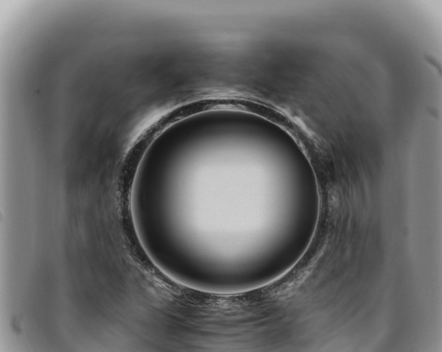 X0000094931311200711291326