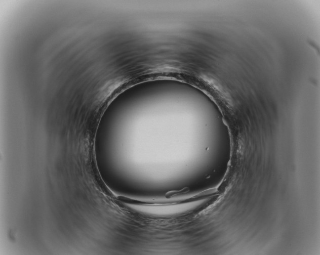 X0000094931313200711291326