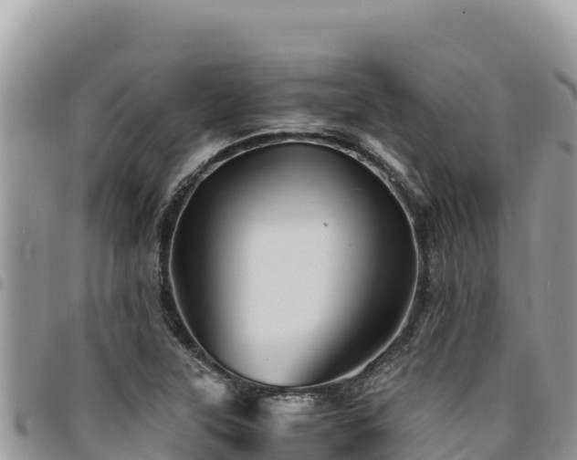 X0000094931315200711291326