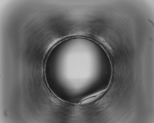X0000094931316200711291326