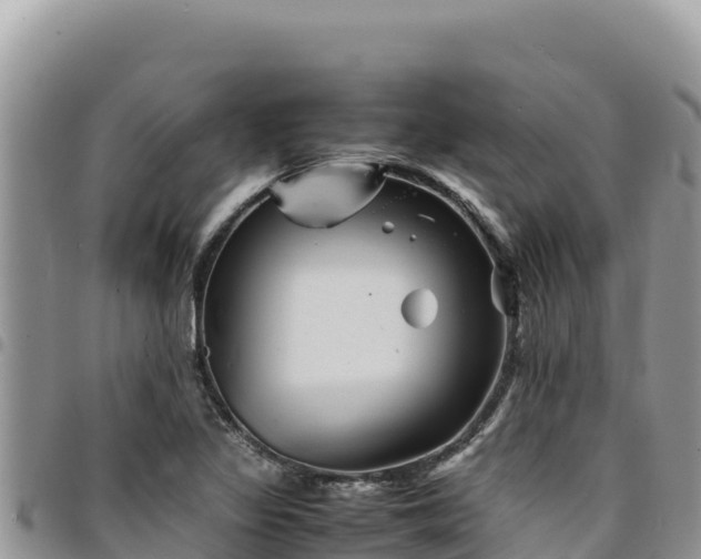 X0000094931317200711291326