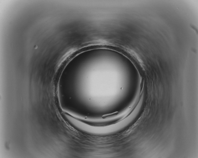 X0000094931318200711291326