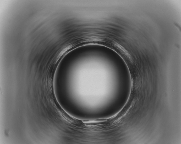 X0000094931321200711291326
