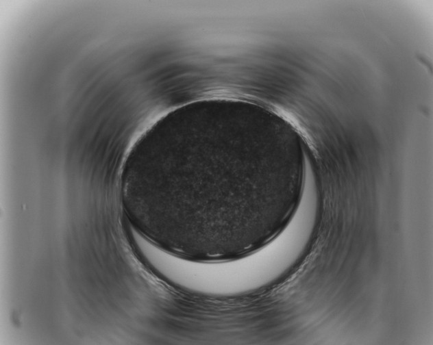 X0000094931323200711291326