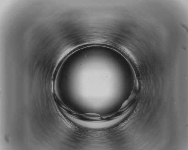 X0000094931324200711291326