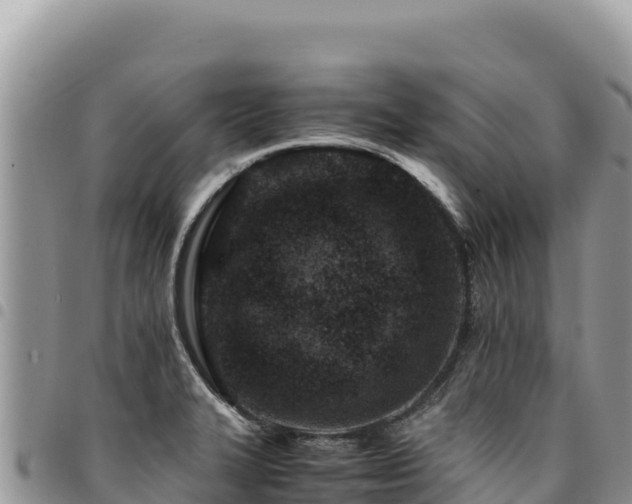 X0000094931327200711291326