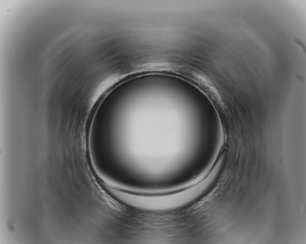 X0000094931328200711291326