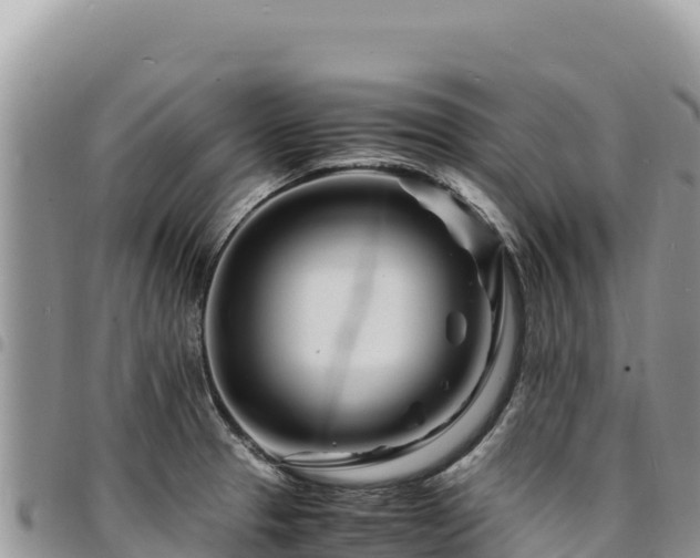 X0000094931329200711291326