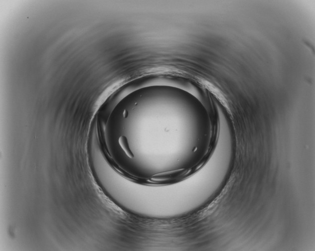 X0000094931330200711291326