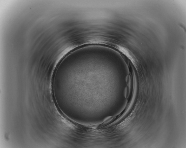 X0000094931331200711291326