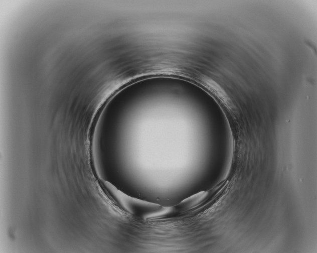 X0000094931332200711291326