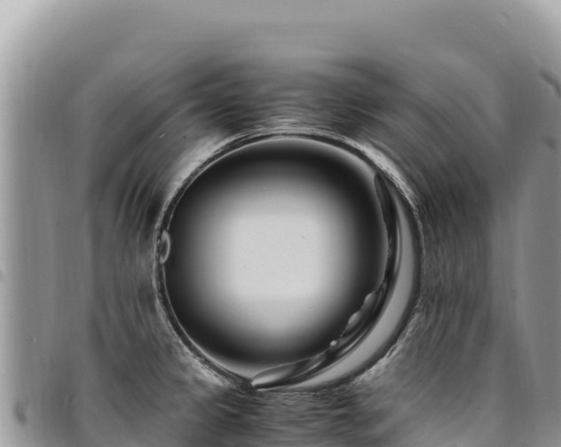 X0000094931333200711291326