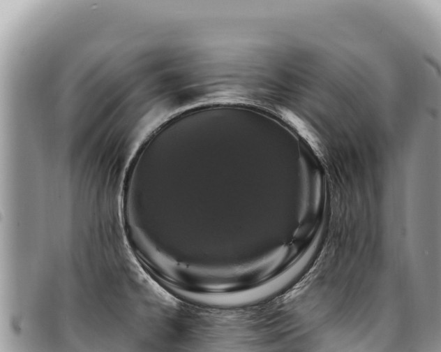 X0000094931334200711291326