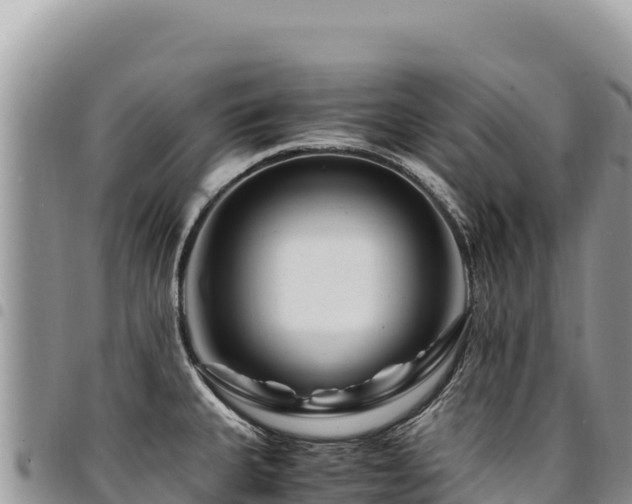X0000094931335200711291326