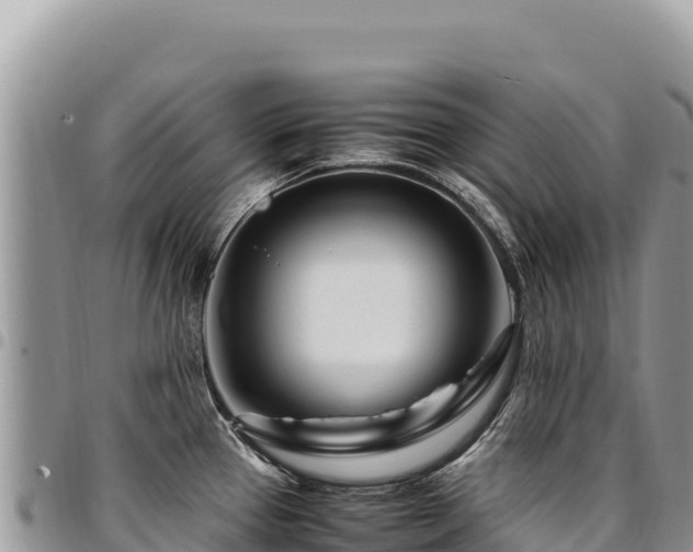 X0000094931337200711291326