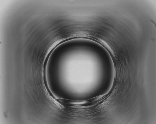 X0000094931339200711291326