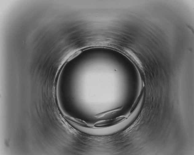 X0000094931340200711291326