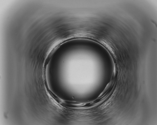 X0000094931342200711291326