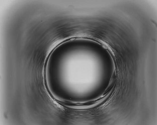 X0000094931343200711291326