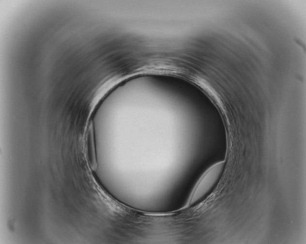X0000094931344200711291326