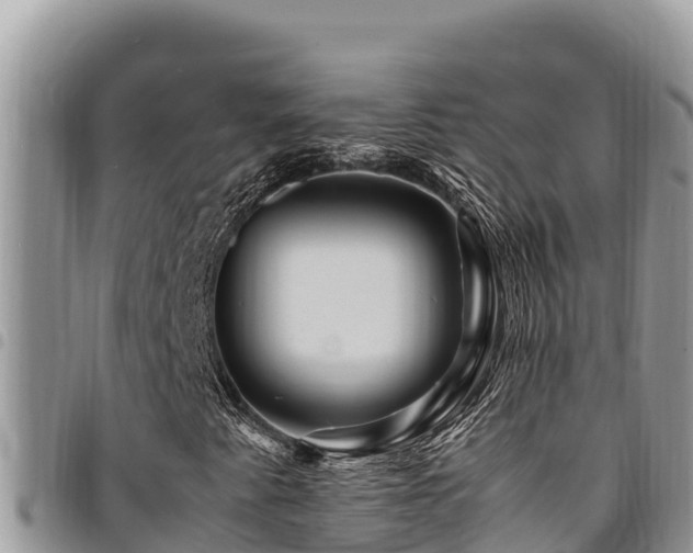X0000094931345200711291326
