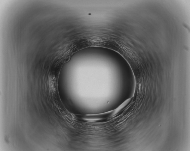 X0000094931346200711291326