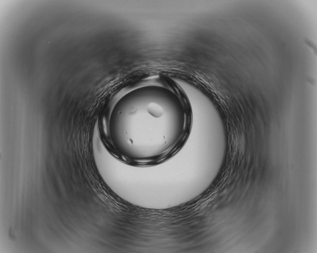 X0000094931348200711291326