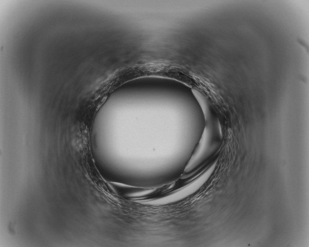 X0000094931349200711291326