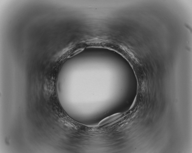 X0000094931350200711291326