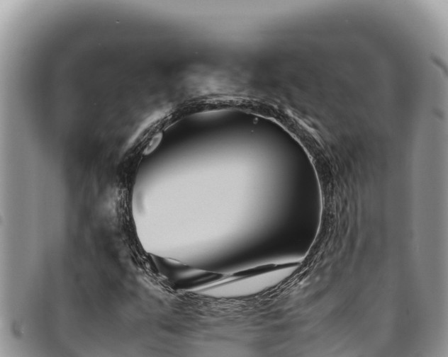 X0000094931351200711291325