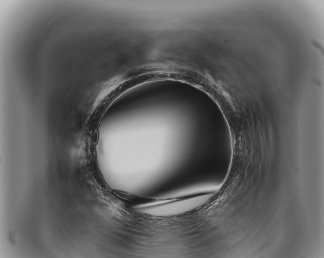 X0000094931352200711291325