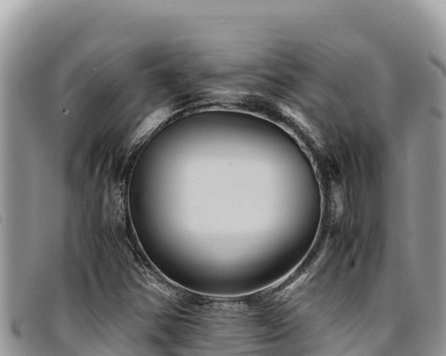 X0000094931354200711291325