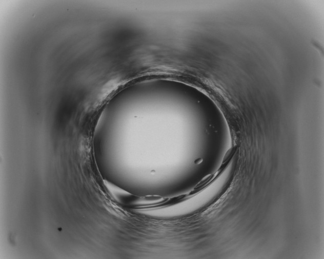 X0000094931355200711291325