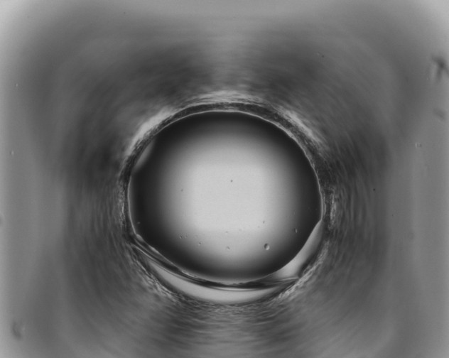X0000094931358200711291325