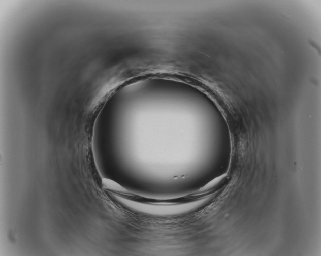 X0000094931359200711291325