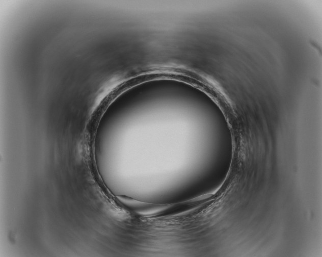 X0000094931360200711291325