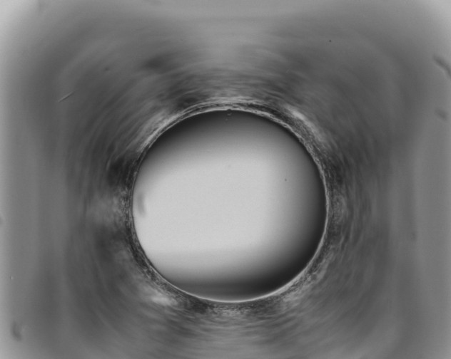 X0000094931361200711291325