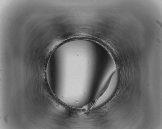 X0000094931363200711291325