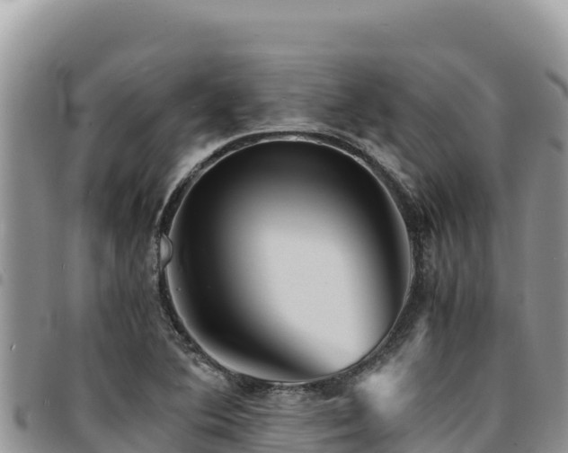 X0000094931364200711291325